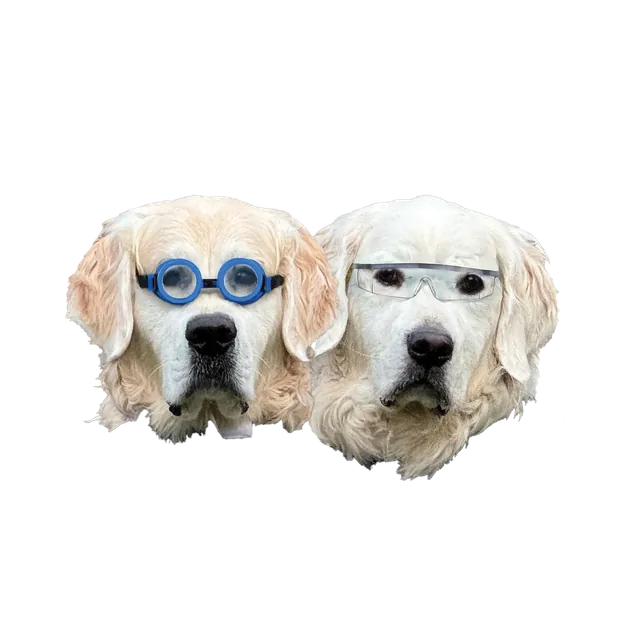 Stanley and Sterling, RDR Seeds quality control