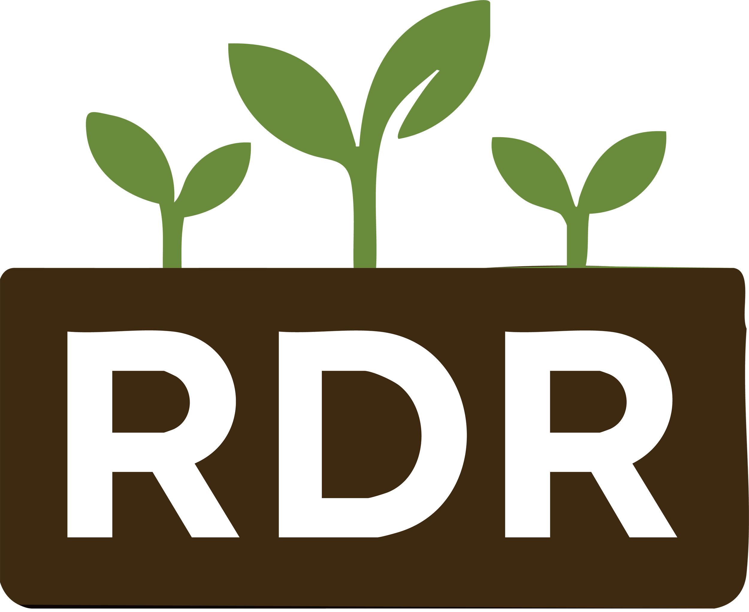 RDR Seeds